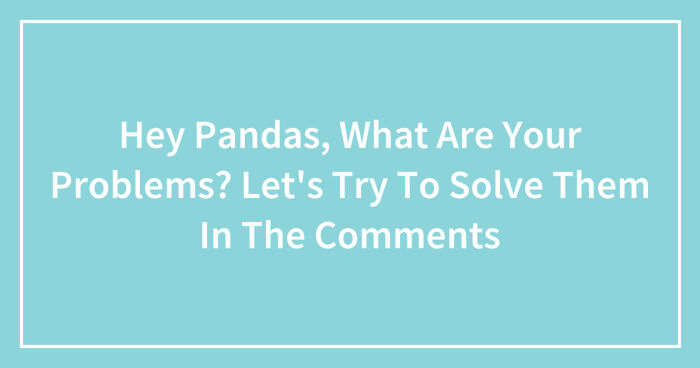 Hey Pandas, What Are Your Problems? Let’s Try To Solve Them In The Comments (Closed)