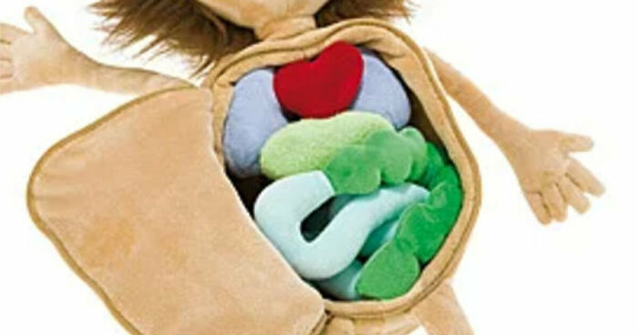 Hey Pandas, What’s The Weirdest Kids’ Toy You Have Ever Seen? (Closed)