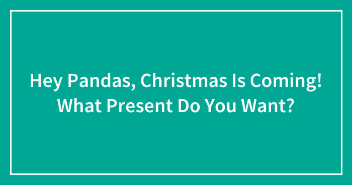 Hey Pandas, Christmas Is Coming! What Present Do You Want? (Closed)