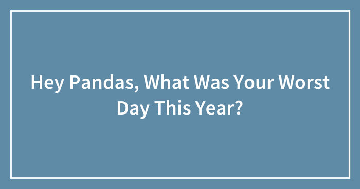Hey Pandas, What Was Your Worst Day This Year? (Closed)