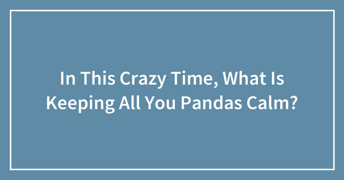 In This Crazy Time, What Is Keeping All You Pandas Calm? (Closed)