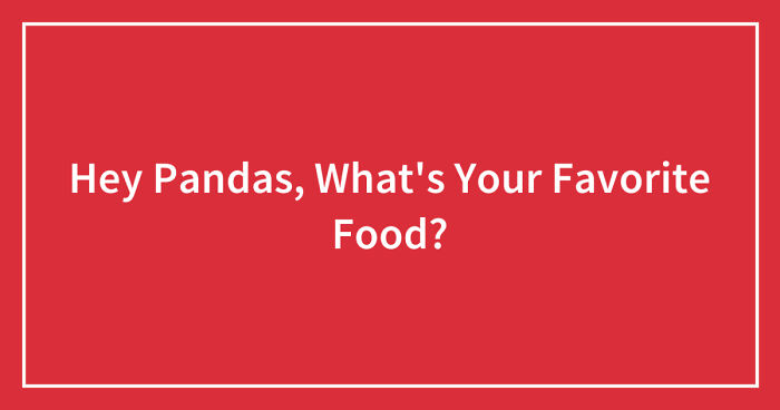 Hey Pandas, What’s Your Favorite Food? (Closed)