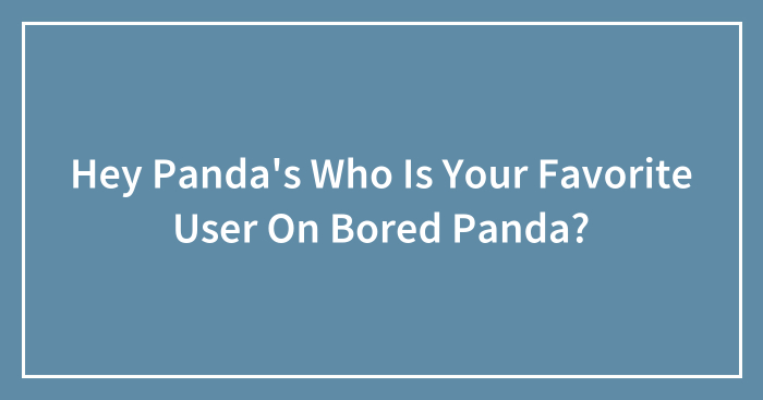 Hey Panda’s Who Is Your Favorite User On Bored Panda?