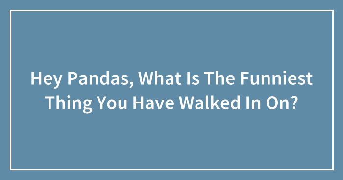 Hey Pandas, What Is The Funniest Thing You Have Walked In On?