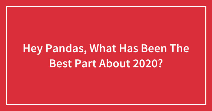 Hey Pandas, What Has Been The Best Part About 2020? (Closed)
