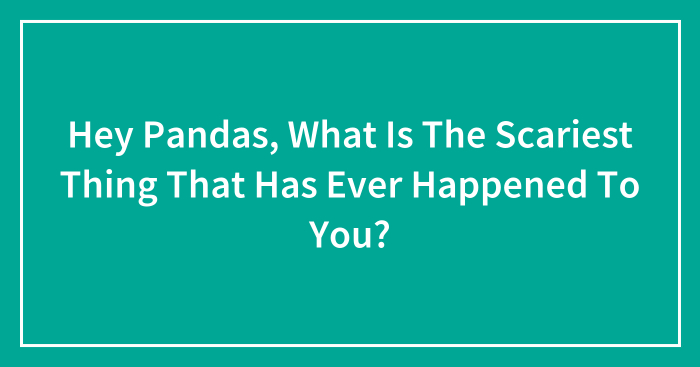 Hey Pandas, What Is The Scariest Thing That Has Ever Happened To You?