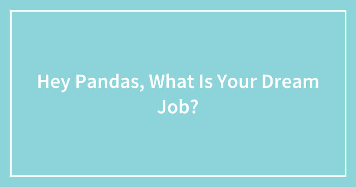 Hey Pandas, What Is Your Dream Job? (Closed)
