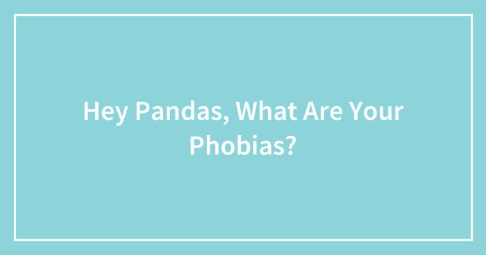 Hey Pandas, What Are Your Phobias? (Closed)