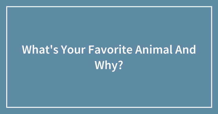 What’s Your Favorite Animal And Why? (Closed)