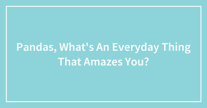 Pandas, What’s An Everyday Thing That Amazes You? (Closed)