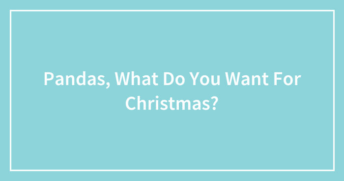 Pandas, What Do You Want For Christmas? (Closed)