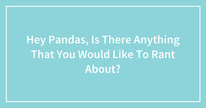 Hey Pandas, Is There Anything That You Would Like To Rant About? (Closed)