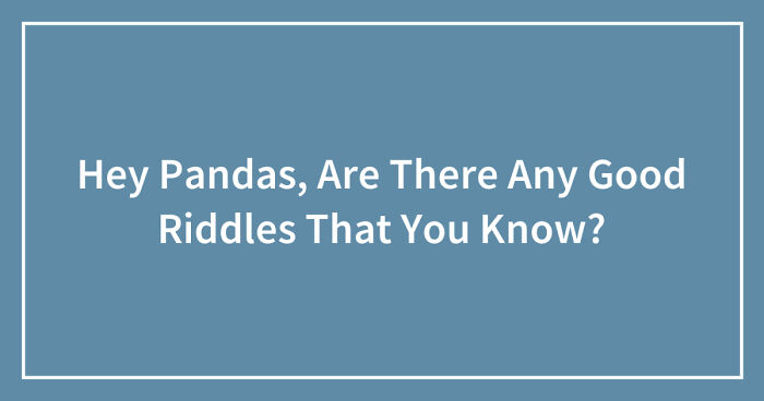 Hey Pandas, Are There Any Good Riddles That You Know? (Closed)