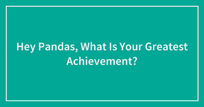 Hey Pandas, What Is Your Greatest Achievement? (Closed)