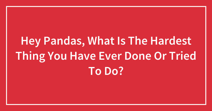 Hey Pandas, What Is The Hardest Thing You Have Ever Done Or Tried To Do? (Closed)