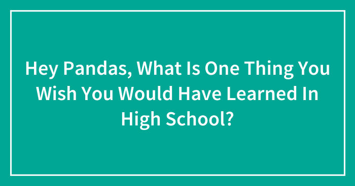 Hey Pandas, What Is One Thing You Wish You Would Have Learned In High School? (Closed)