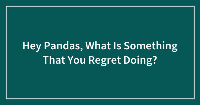Hey Pandas, What Is Something That You Regret Doing? (Closed)