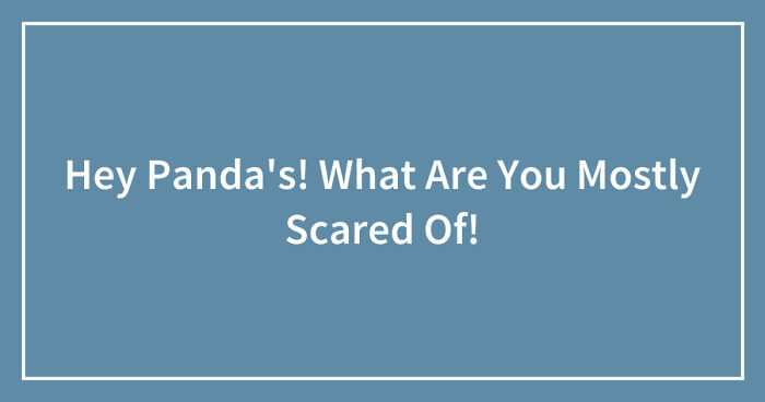 Hey Pandas, What Are You Most Scared Of? (Closed)