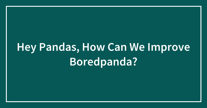 Hey Pandas, How Can We Improve Boredpanda?