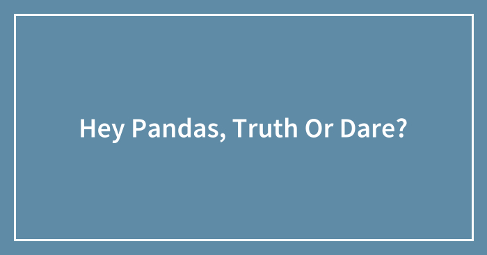 Hey Pandas, Truth Or Dare?
