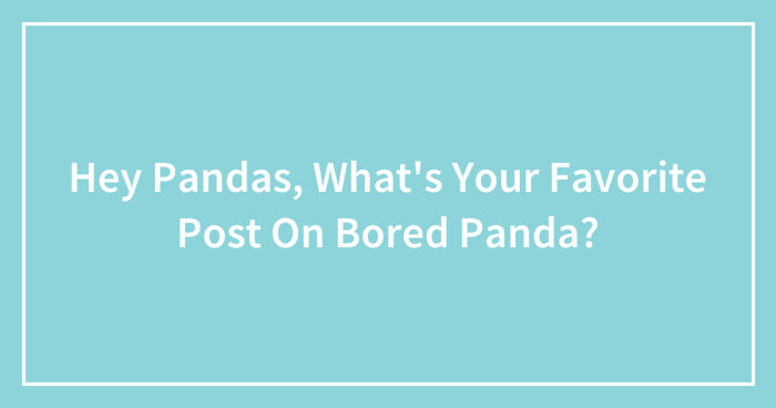 Hey Pandas, What’s Your Favorite Post On Bored Panda? (Closed)