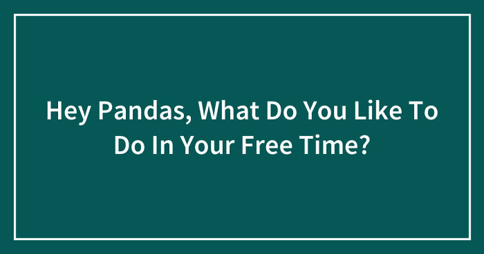 Hey Pandas, What Do You Like To Do In Your Free Time? (Closed)