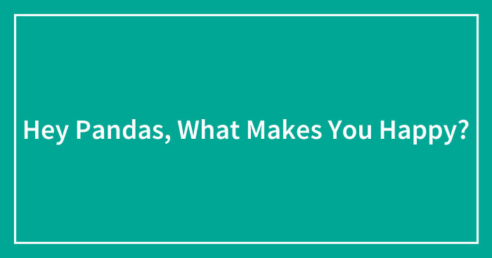 Hey Pandas, What Makes You Happy? (Closed)