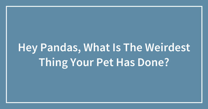 Hey Pandas, What Is The Weirdest Thing Your Pet Has Done? (Closed)