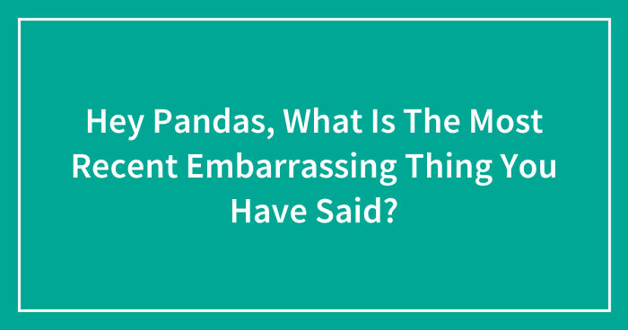Hey Pandas, What Is The Most Recent Embarrassing Thing You Have Said? (Closed)