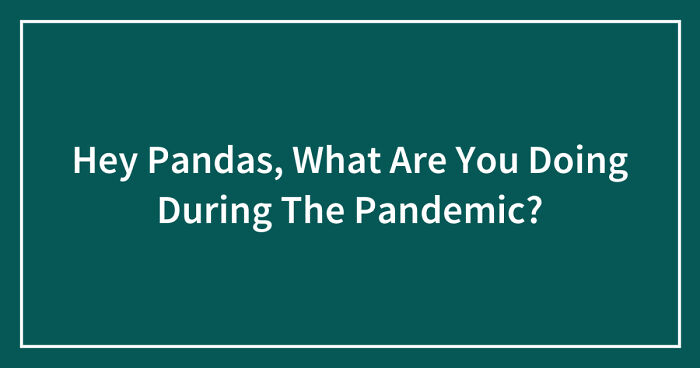 Hey Pandas, What Are You Doing During The Pandemic? (Closed)