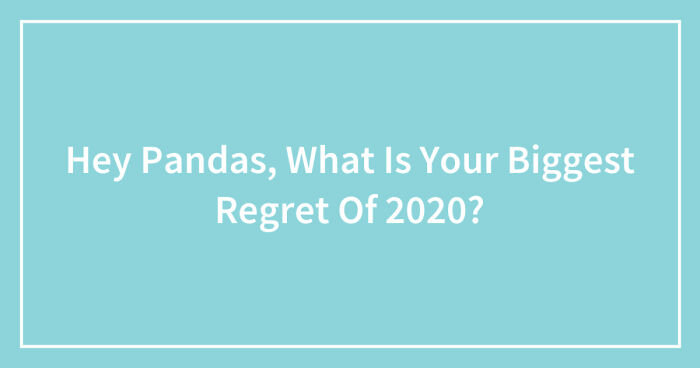 Hey Pandas, What Is Your Biggest Regret Of 2020? (Closed)
