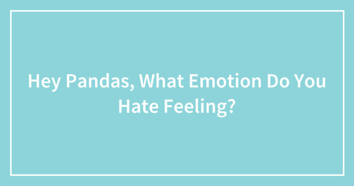 Hey Pandas, What Emotion Do You Hate Feeling? (Closed)