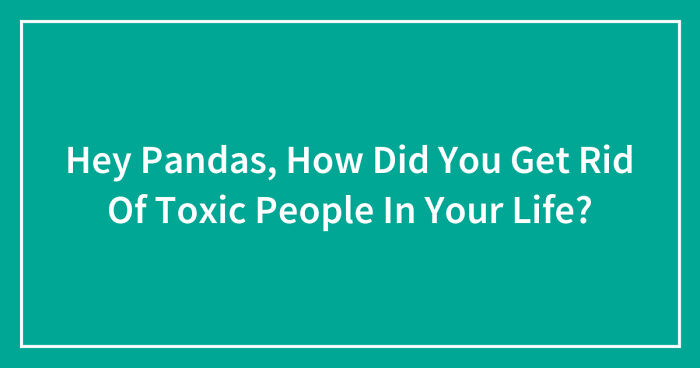 Hey Pandas, How Did You Get Rid Of Toxic People In Your Life? (Closed)