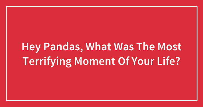 Hey Pandas, What Was The Most Terrifying Moment Of Your Life? (Closed)