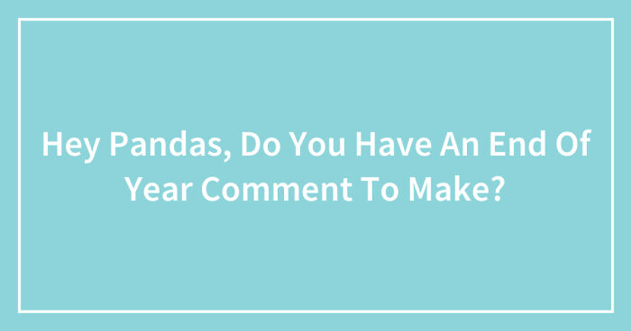 Hey Pandas, Do You Have An End Of Year Comment To Make? (Closed)