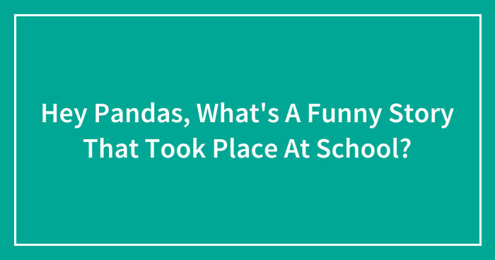 Hey Pandas, What’s A Funny Story That Took Place At School? (Closed)