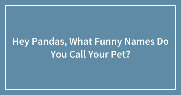 Hey Pandas, What Funny Names Do You Call Your Pet? (Closed)