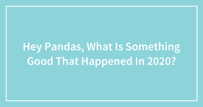 Hey Pandas, What Is Something Good That Happened In 2020? (Closed)