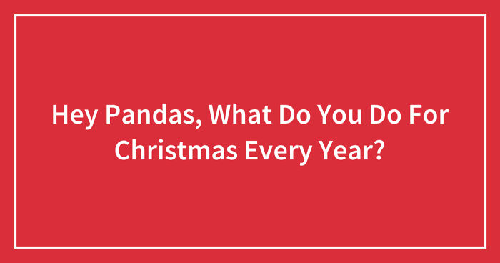 Hey Pandas, What Do You Do For Christmas Every Year? (Closed)