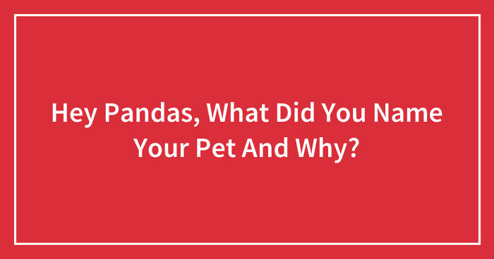 Hey Pandas, What Did You Name Your Pet And Why? (Closed)