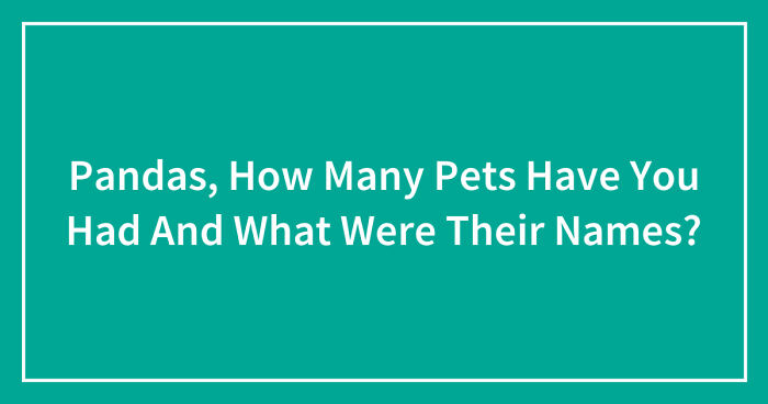 Pandas, How Many Pets Have You Had And What Were Their Names? (Closed)