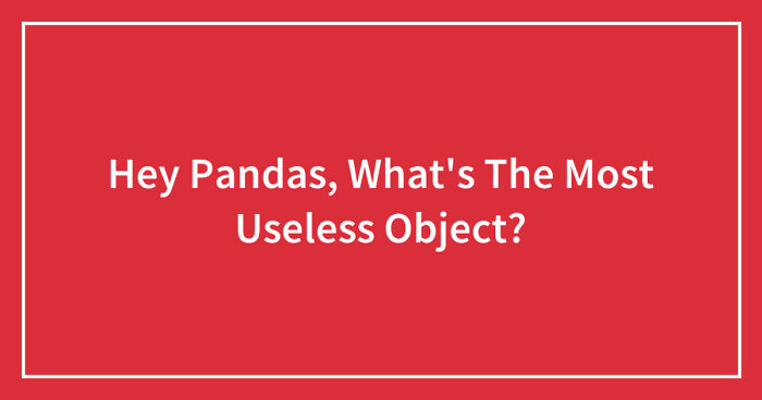 Hey Pandas, What’s The Most Useless Object? (Closed)