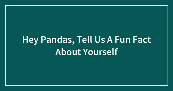 Hey Pandas, Tell Us A Fun Fact About Yourself (Closed)