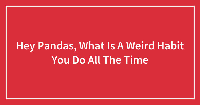 Hey Pandas, What Is A Weird Habit You Do All The Time (Closed)