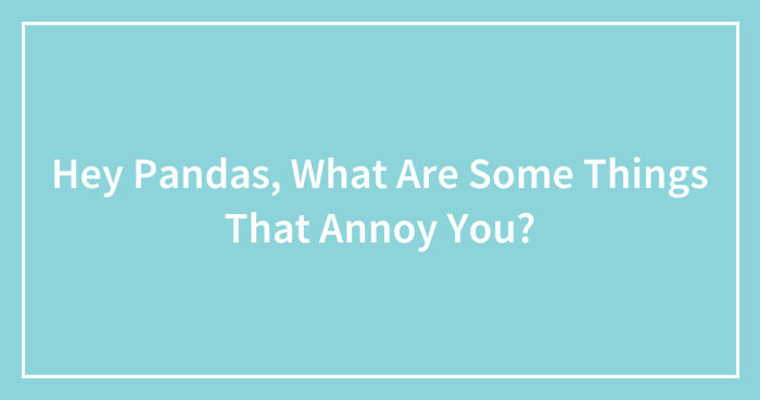 Hey Pandas, What Are Some Things That Annoy You? (Closed)