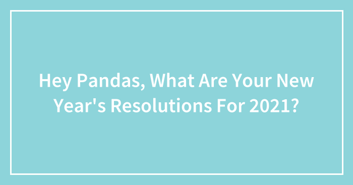 Hey Pandas, What Are Your New Year’s Resolutions For 2021?