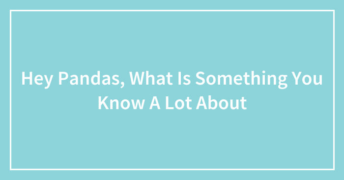 Hey Pandas, What Is Something You Know A Lot About? (Closed)