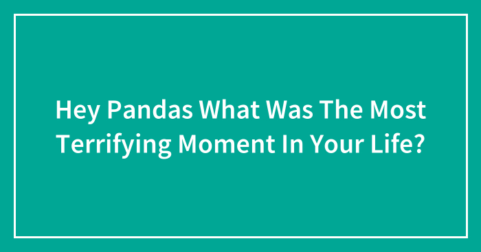 Hey Pandas What Was The Most Terrifying Moment In Your Life?