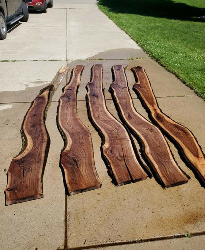 Forbidden Bacon