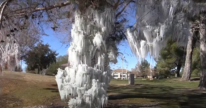Sprinkler Creates A Frozen Wonderland On This Golf Course After Temperatures Suddenly Drop